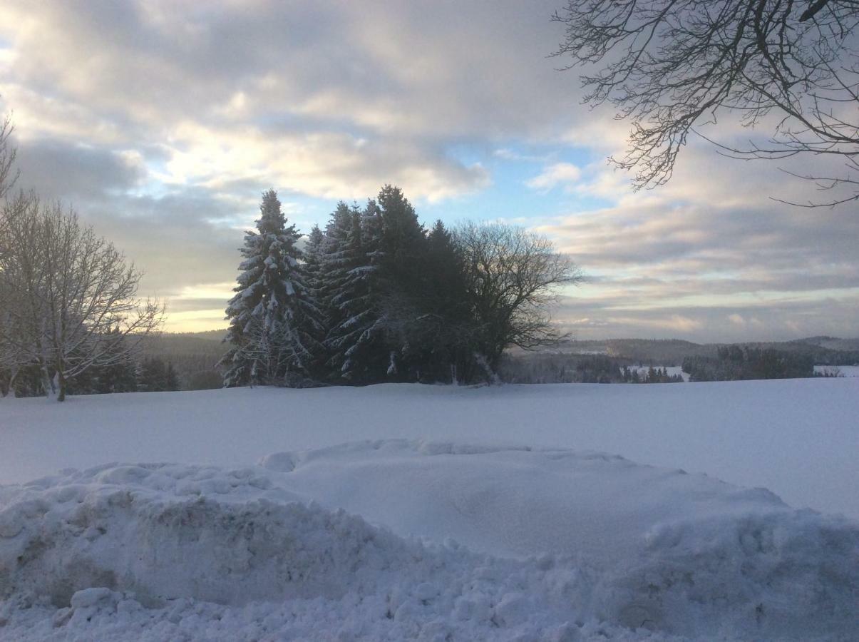 Ferienwohnung Harzblick 2 Braunlage Luaran gambar